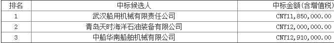 11-6油田综合调整项目平台吊机中标候选人公示