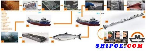 国内首个深远海智慧渔业工厂项目在临港启动