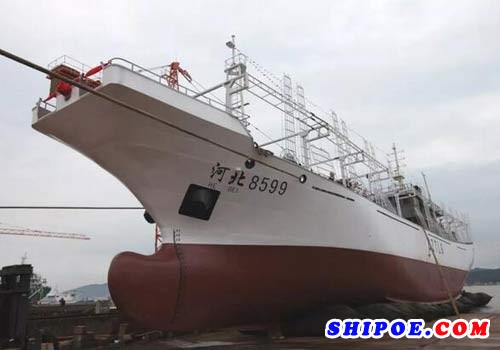东红船业65米鱿鱼钓船成功下水