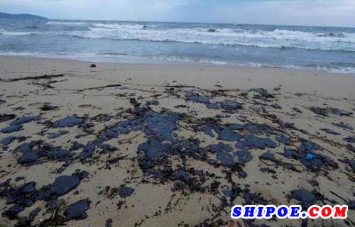地中海两船相撞事故引发严重污染 法国海滩遍布黑色油污