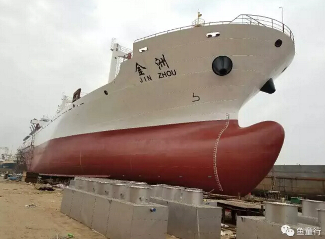 “鱼童船舶漆”助力目前国内自主设计自主建造的最大的冷藏运输船“金洲”号