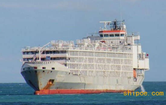 驶向中国的货船在东海失踪，载有43名船员和5800头牛