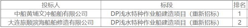 DP浅水特种作业船建造项目