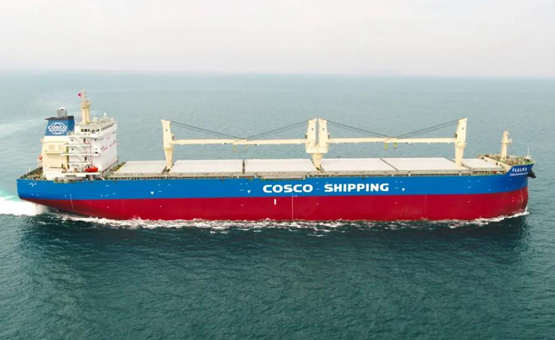大连中远海运重工命名交付第九艘 62000吨多用途纸浆船