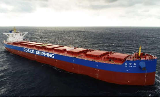 扬州中远海运重工命名交付又一艘21万吨散货船