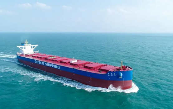 扬州中远海运重工又一艘21万吨散货船顺利命名
