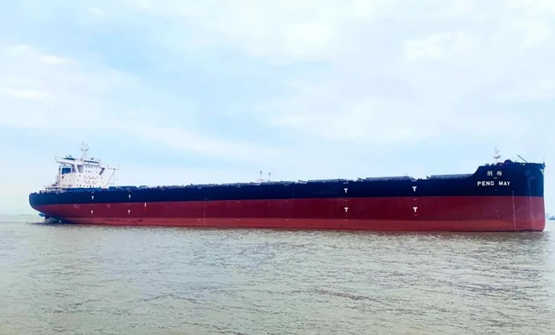 外高桥造船为福茂集团建造的21万吨散货船“朋梅”轮顺利命名